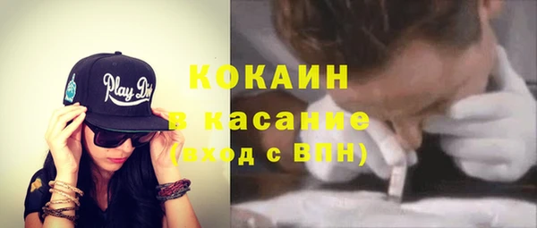 дживик Каменка