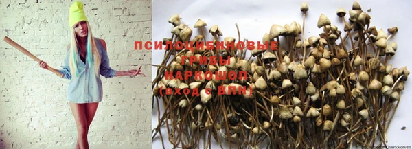 синтетический гашиш Карпинск