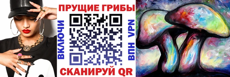 MEGA ссылки  Кизляр  Псилоцибиновые грибы мицелий 