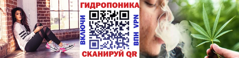Бошки Шишки OG Kush  купить наркотики цена  Кизляр 